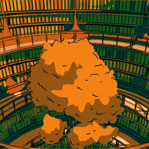 Roman - Littérature